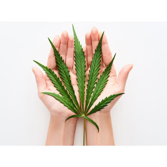 Konopie - składnik kosmetyków