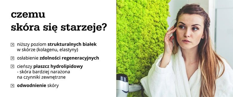 Infografika – czemu skóra się starzeje?