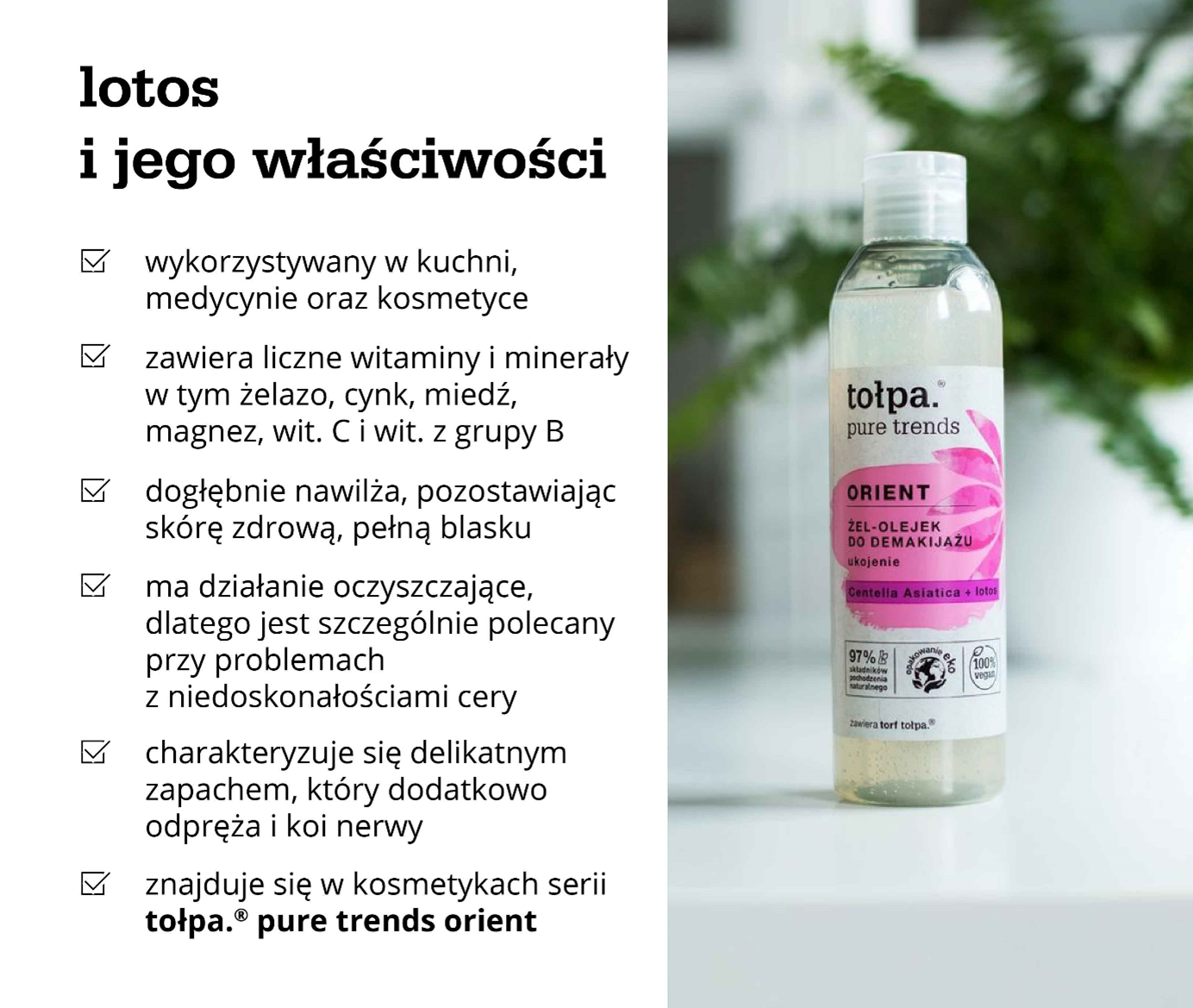 lotos i jego właściwości - infografika