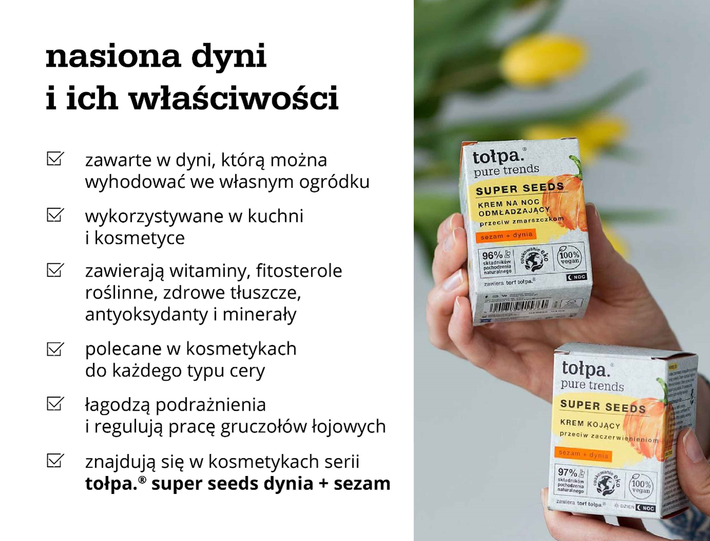nasiona dyni i ich właściwości - infografika