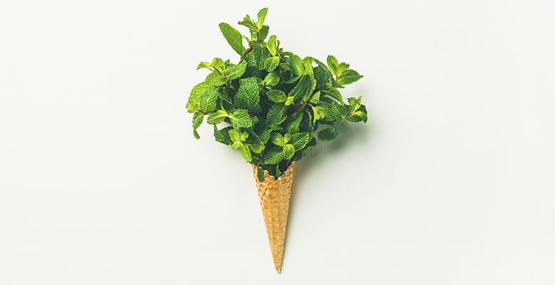 liście mięty w wafelku - zioła jako doskonały zamiennik soli